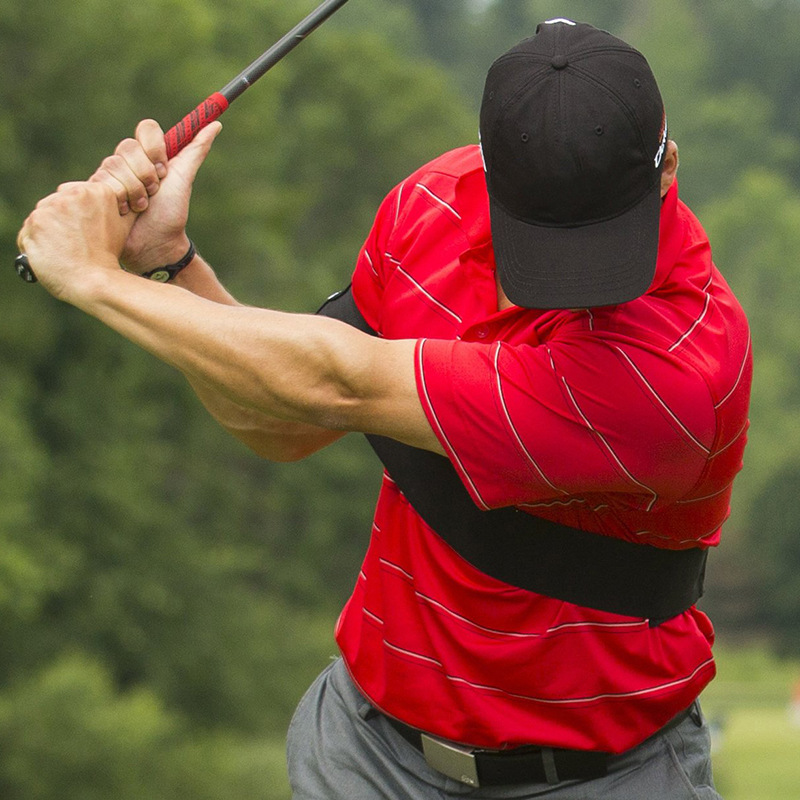 Professional Golf Swing Arm Co - đánh giá và giá Sports Equipment Golf
